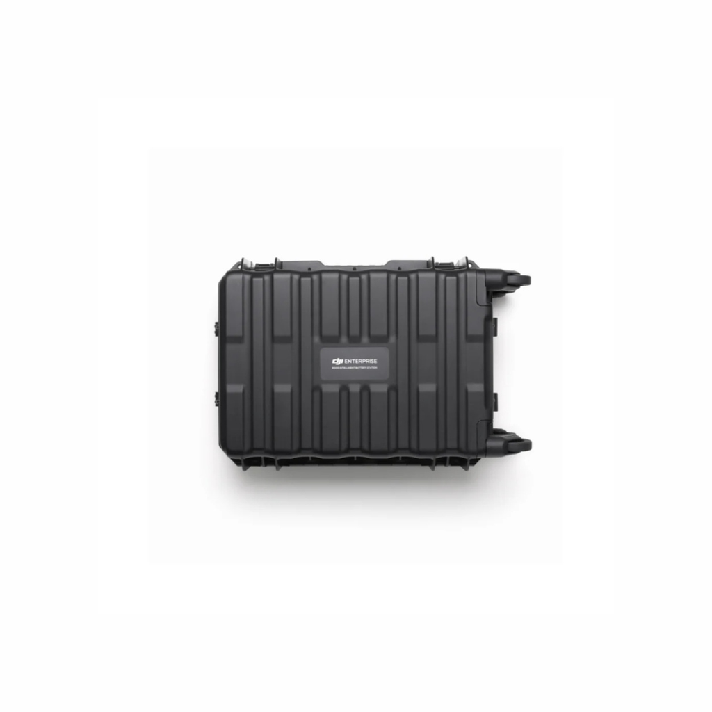 BS100 Intelligent Battery Station